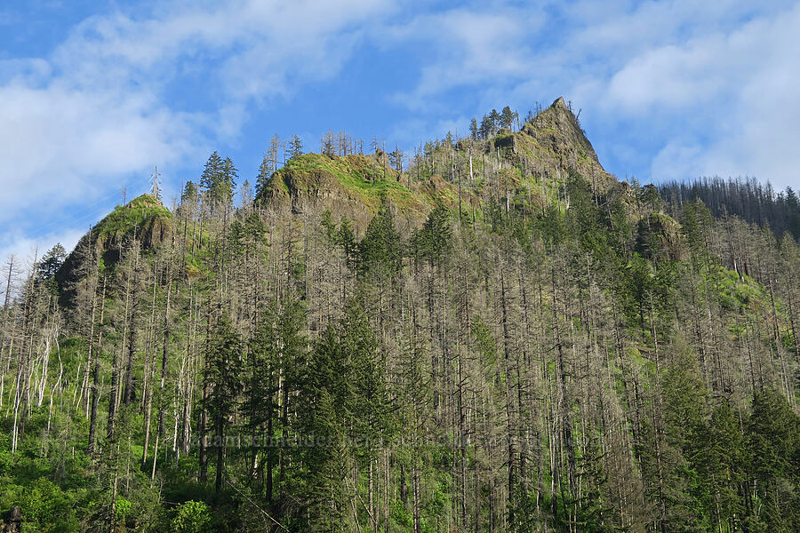 Wauna Point [Eagle Creek Overlook, Columbia River Gorge, Multnomah County, Oregon]