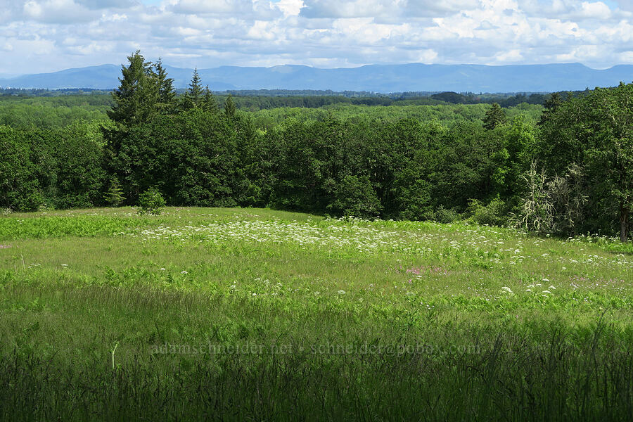 view to the east [Finley National Wildlife Refuge, Benton County, Oregon]