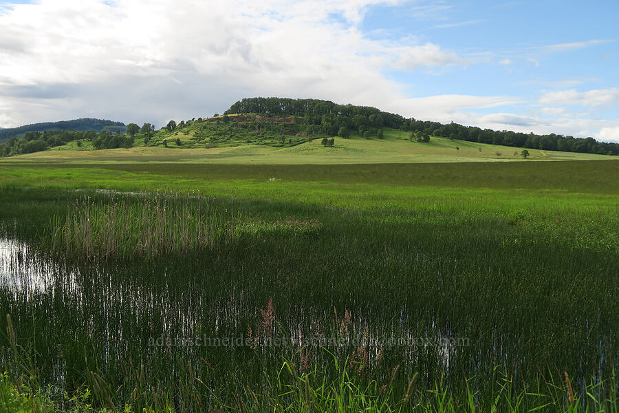 Pigeon Butte [Finley National Wildlife Refuge, Benton County, Oregon]