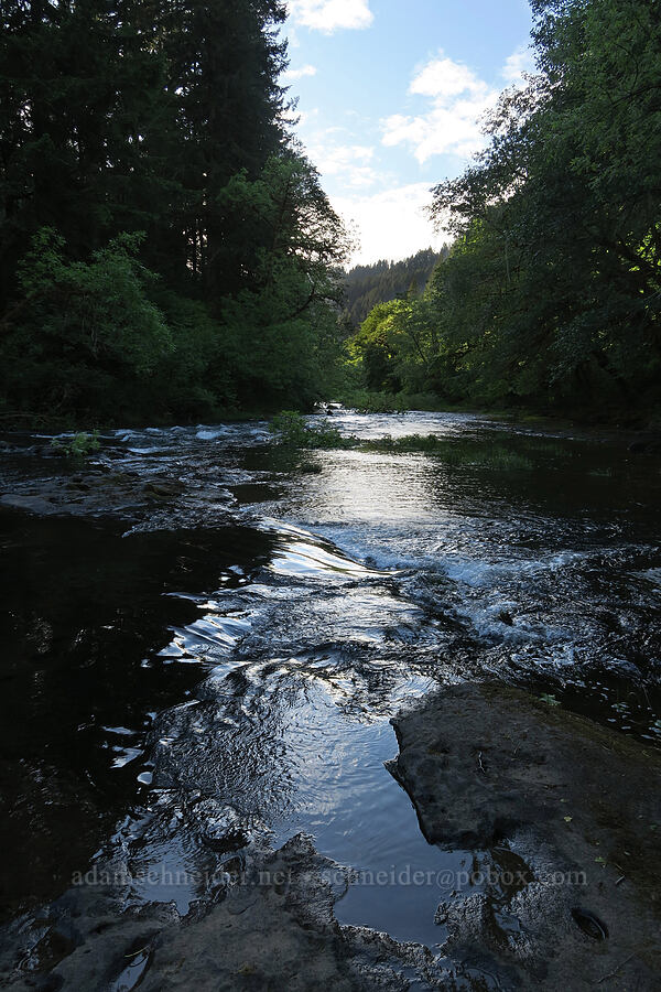Alsea River [Missouri Bend, Benton County, Oregon]
