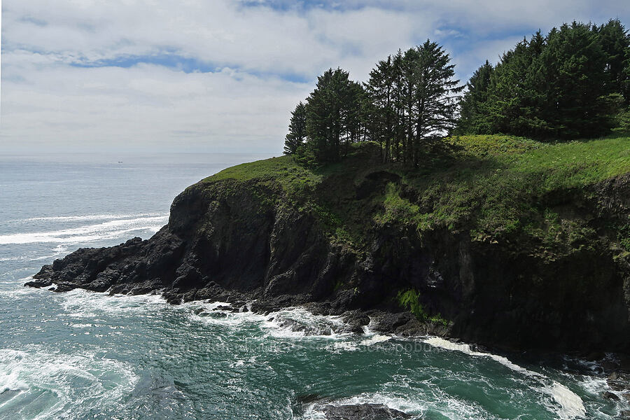 sea cliffs [Cape Foulweather, Lincoln County, Oregon]