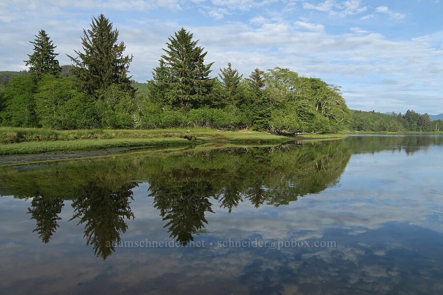 Salmon River [Salmon River Estuary, Lincoln County, Oregon]