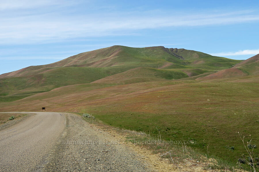 Indian Head Mountain [Olds Ferry Road, Washington County, Idaho]