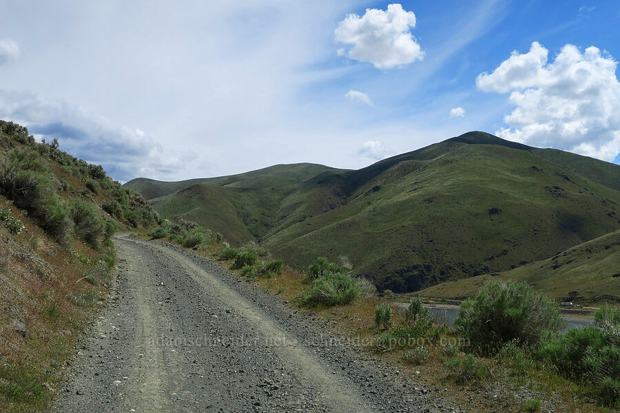 Olds Ferry Road & the Slaughterhouse Range [Olds Ferry Road, Washington County, Idaho]