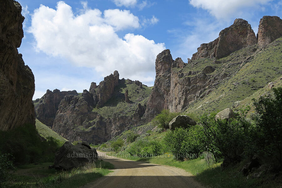 Succor Creek Canyon [Succor Creek Road, Malheur County, Oregon]
