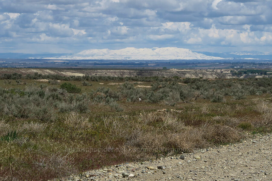 Squaw Butte, covered in snow [Succor Creek Road, Malheur County, Oregon]
