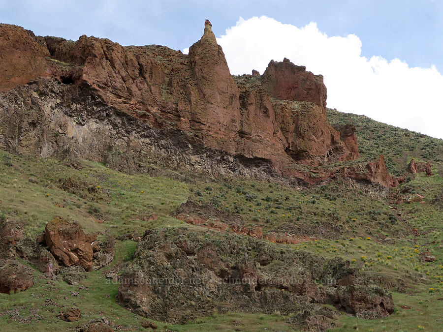hoodoos [Owyhee Lake Road, Malheur County, Oregon]