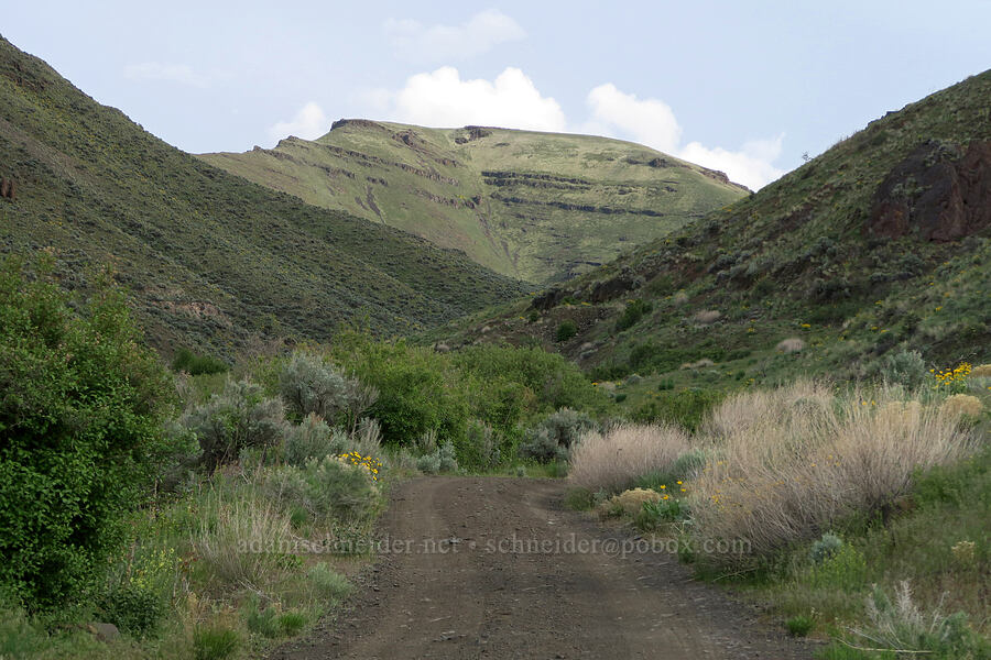 BIrch Creek's valley [Lake Owyhee State Park, Malheur County, Oregon]