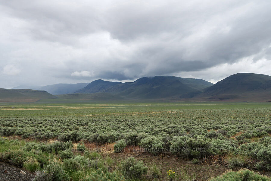 Folly Farm Flat & Steens Mountain [Fields-Folly Farm Road, Malheur County, Oregon]