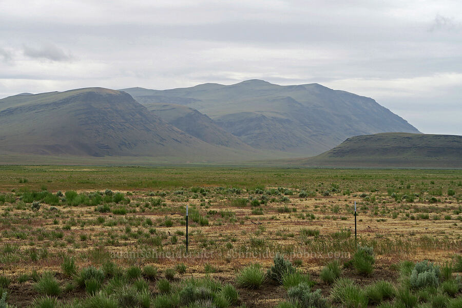 Sheepshead Mountains [Fields-Folly Farm Road, Malheur County, Oregon]