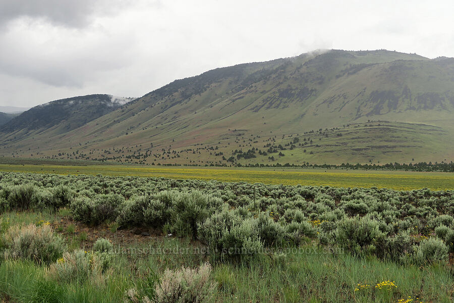 Ten Cent Lake (dry) and the north end of Steens Mountain [Fields-Folly Farm Road, Harney County, Oregon]