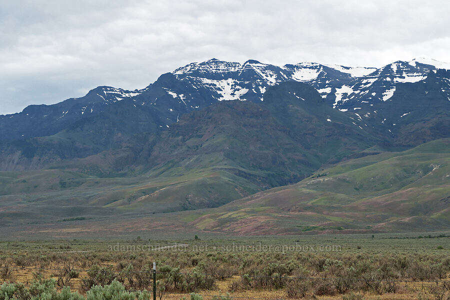 Steens Mountain [Fields-Folly Farm Road, Harney County, Oregon]