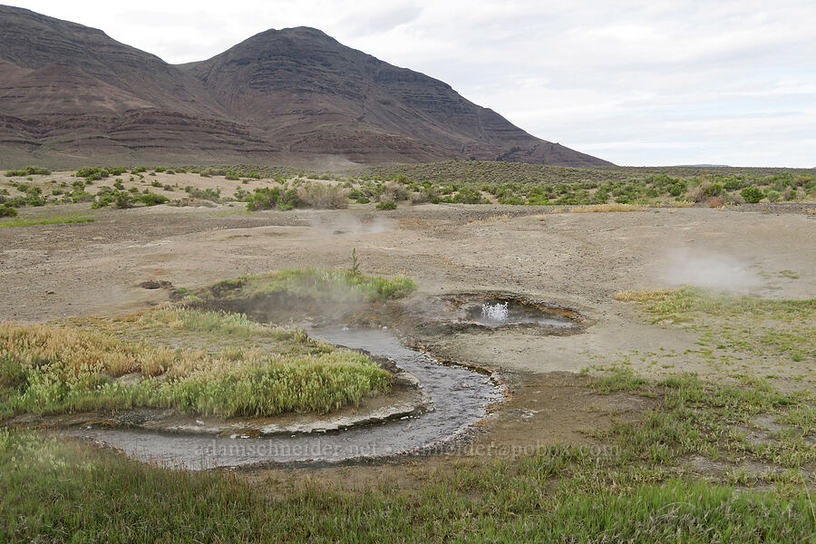 boiling hot springs [Mickey Hot Springs, Harney County, Oregon]