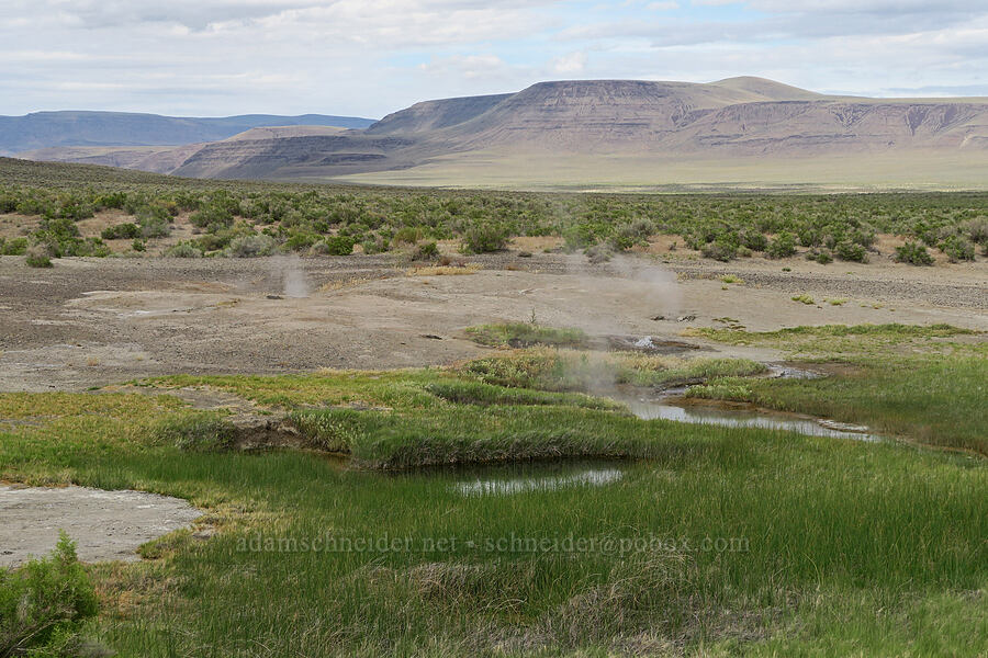 hot springs [Mickey Hot Springs, Harney County, Oregon]