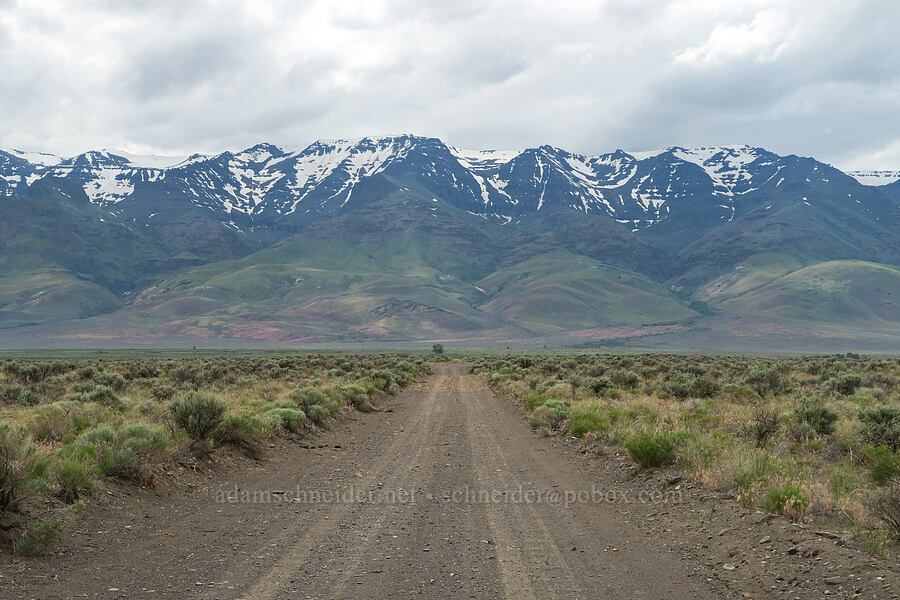 Steens Mountain [Mickey-Alvord Wells Road, Harney County, Oregon]