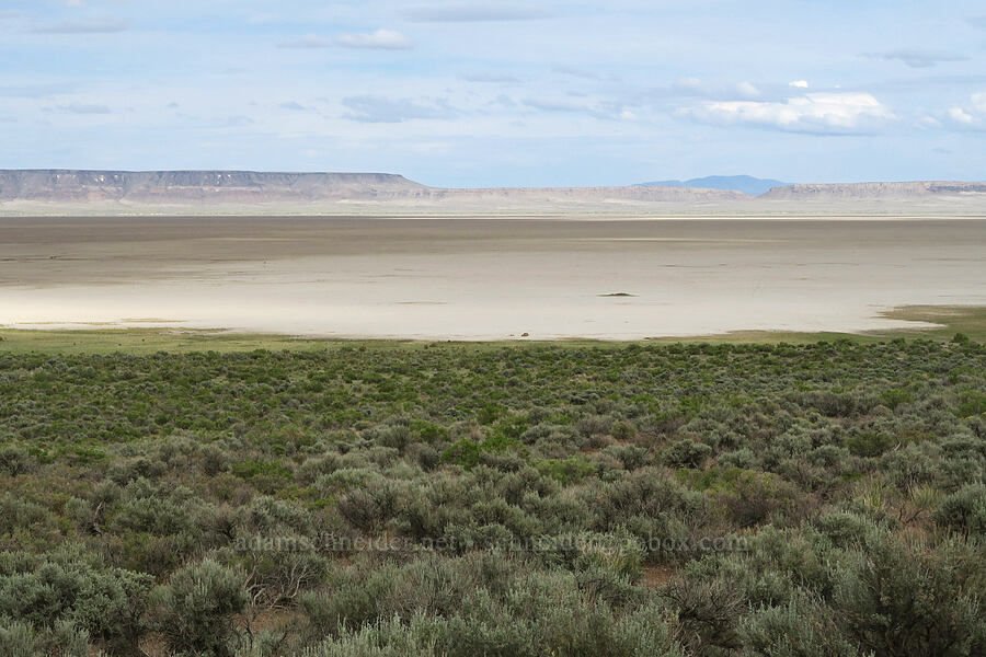 Alvord Desert [Fields-Folly Farm Road, Harney County, Oregon]