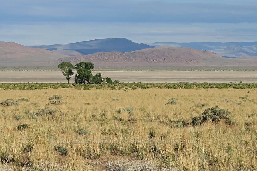 Alvord Lake [Fields-Folly Farm Road, Harney County, Oregon]