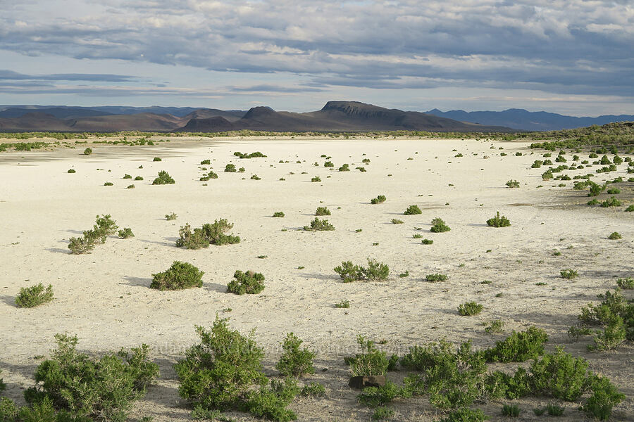 Lower Borax Lake Reservoir [Borax Lake ACEC, Harney County, Oregon]
