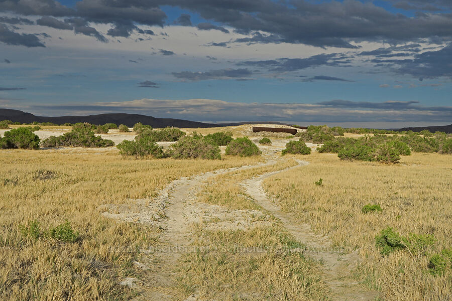 road to the old borax works [Borax Lake ACEC, Harney County, Oregon]