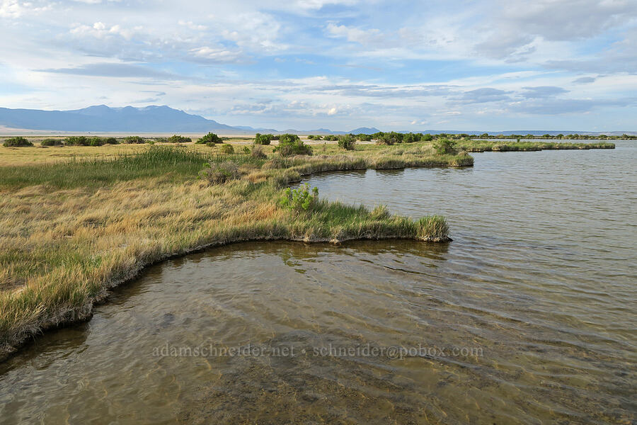 Borax Lake [Borax Lake Preserve, Harney County, Oregon]