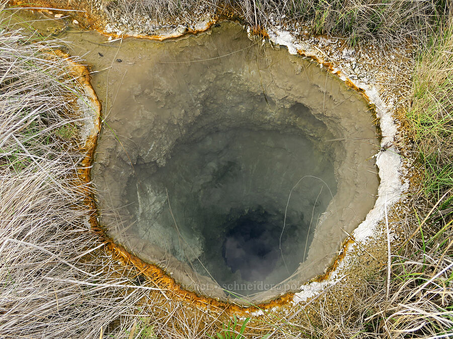 hot spring [Borax Lake Preserve, Harney County, Oregon]