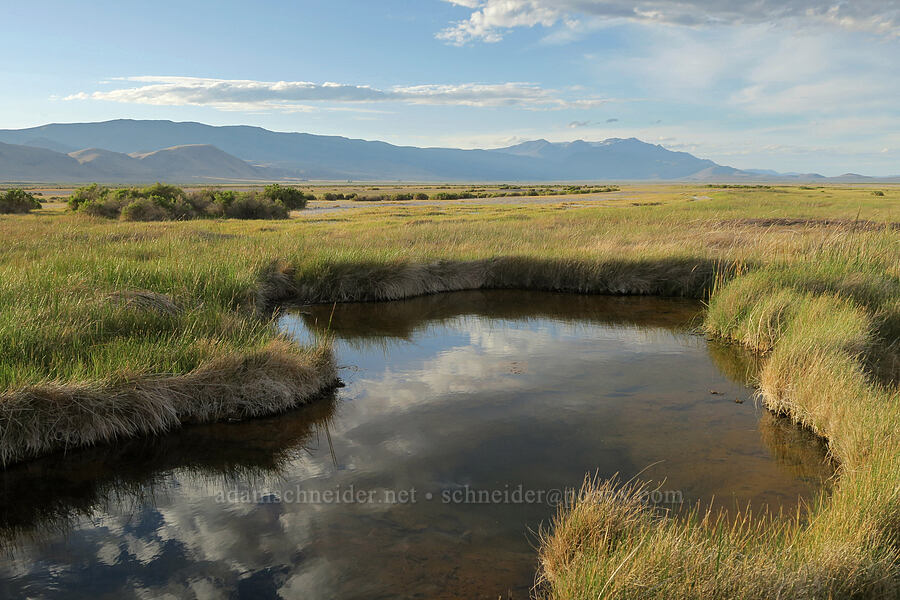 hot springs [Borax Lake Preserve, Harney County, Oregon]