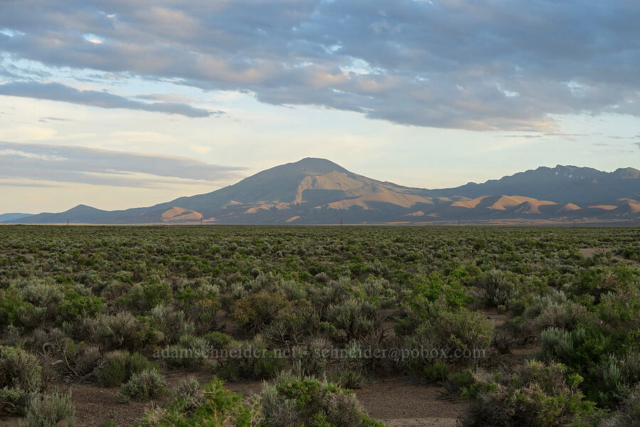 Pueblo Mountains [Borax Lake Road, Harney County, Oregon]