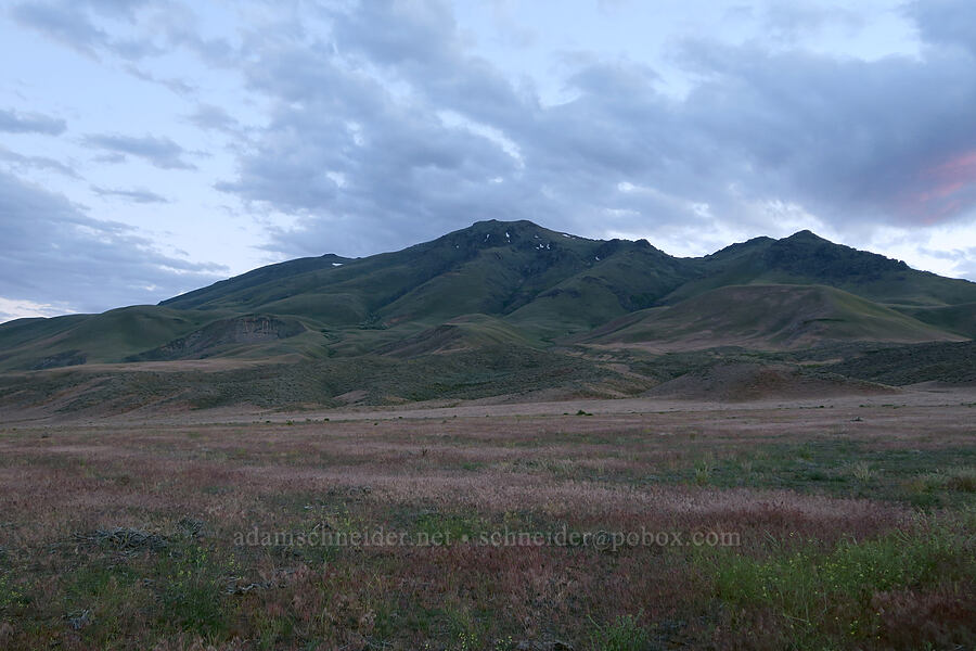 east side of Pueblo Mountain [Arizona Creek Road, Harney County, Oregon]