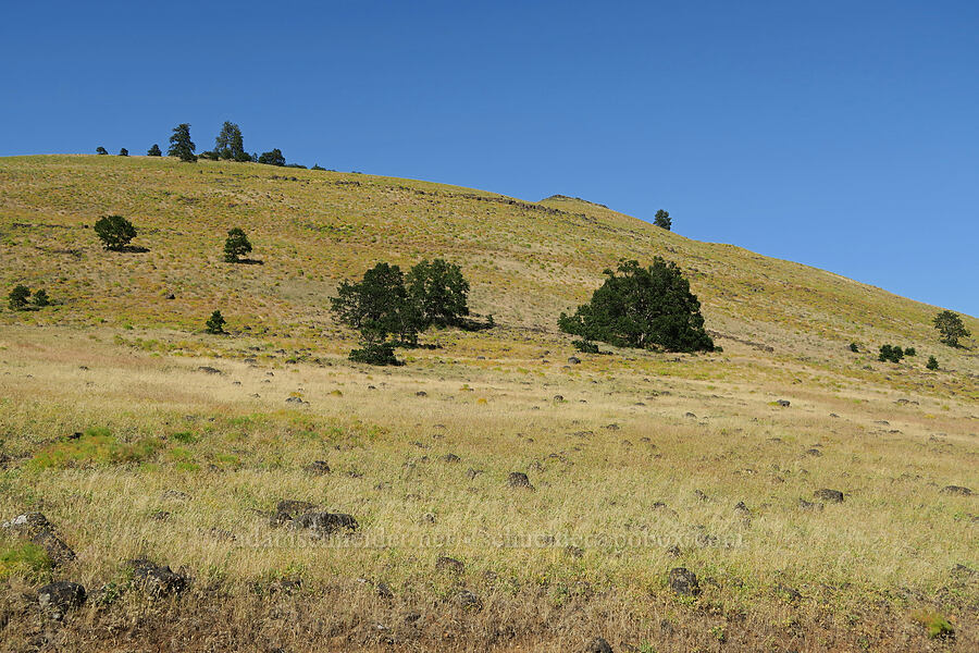 Leidl Ridge [Glenwood Highway, Klickitat County, Washington]