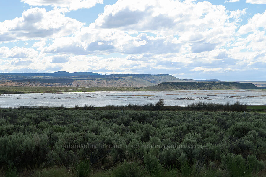 Diamond Swamp, Jackass Butte, & Buena Vista Butte [Malheur National Wildlife Refuge, Harney County, Oregon]