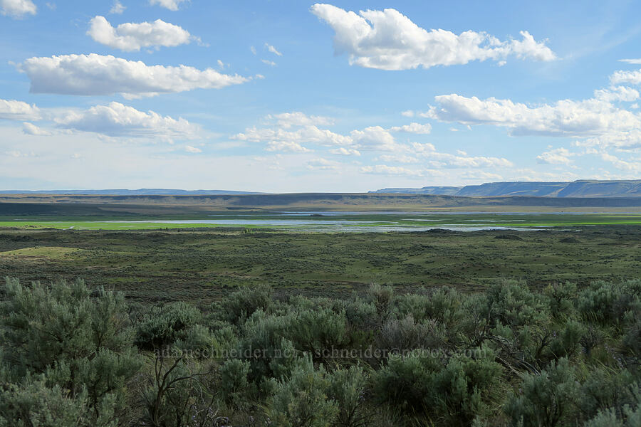Diamond Swamp [Diamond Craters, Harney County, Oregon]