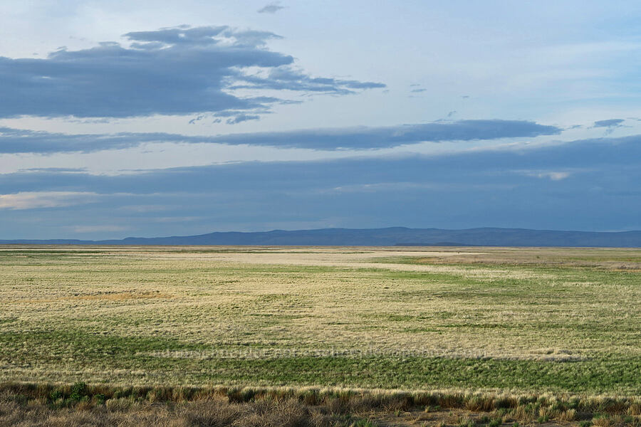 Malheur Lake [Malheur National Wildlife Refuge, Harney County, Oregon]
