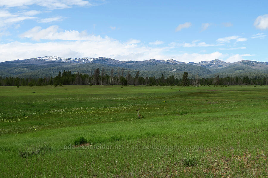 Strawberry Mountains & Logan Valley [Logan Valley, Malheur National Forest, Grant County, Oregon]