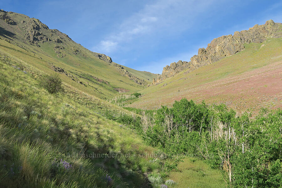 Arizona Creek Valley [Arizona Creek Road, Harney County, Oregon]