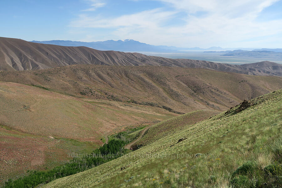 Arizona Creek Valley & Steens Mountain [Arizona Creek Road, Harney County, Oregon]