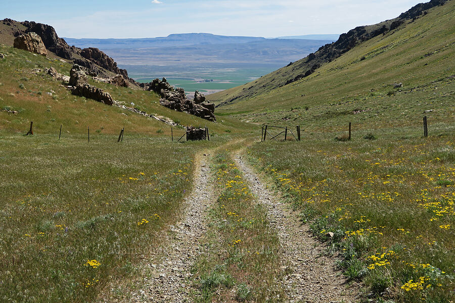 view toward the Pueblo Valley [Arizona Creek Road, Harney County, Oregon]