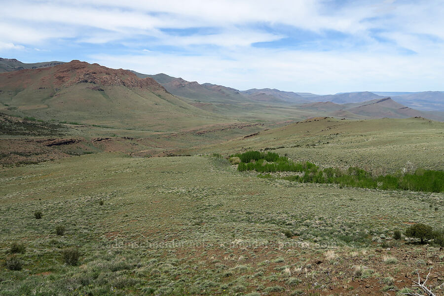 Pueblo Mountains [Pueblo Mountains, Harney County, Oregon]