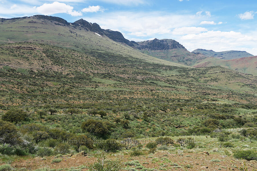 Pueblo Mountains [Pueblo Mountains, Harney County, Oregon]