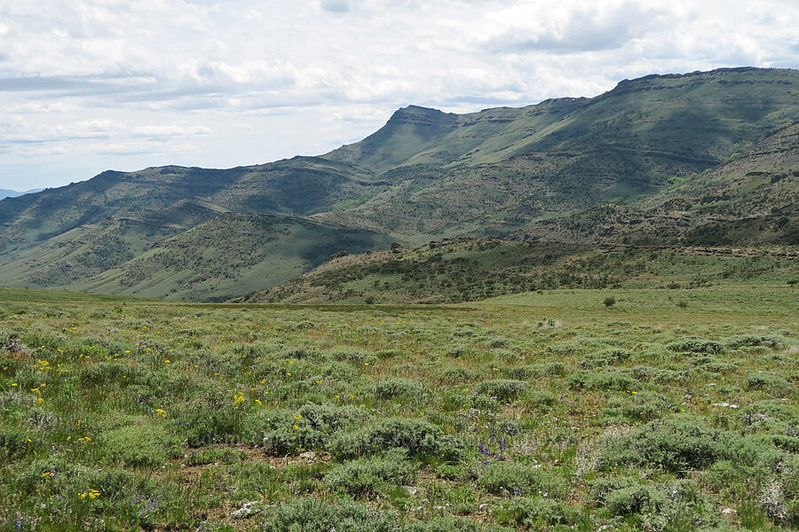 Pueblo Mountains [Pueblo Mountains, Harney County, Oregon]