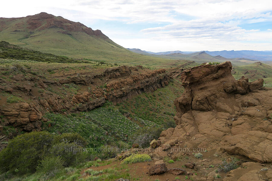 rimrock [Pueblo Mountains, Harney County, Oregon]