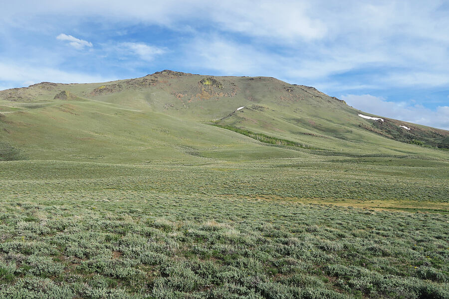 Pueblo Mountain [Pueblo Mountains, Harney County, Oregon]