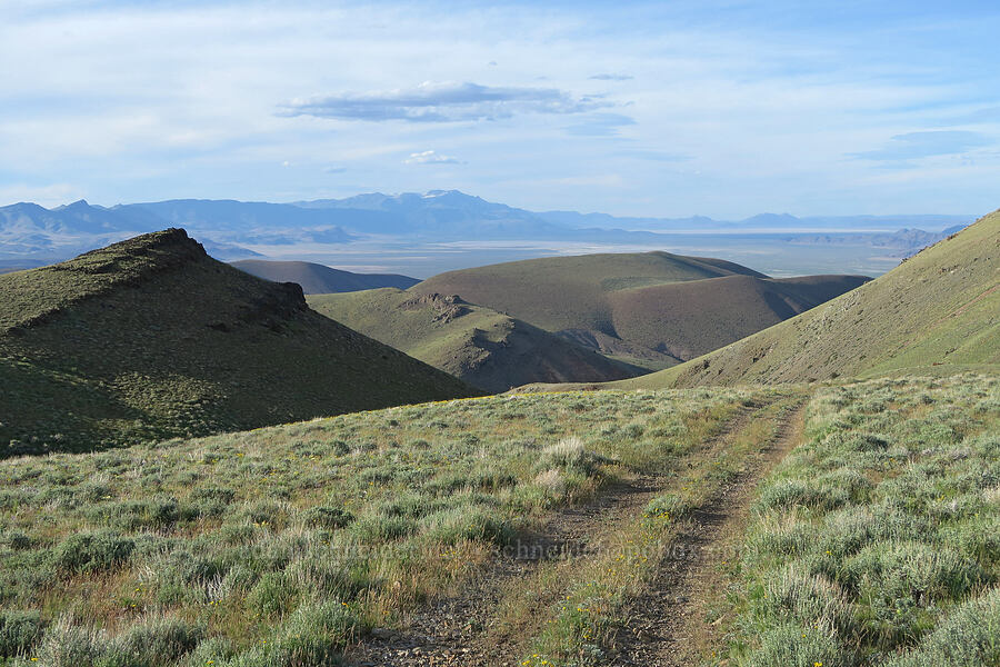 view to the north [Arizona Creek Road, Harney County, Oregon]