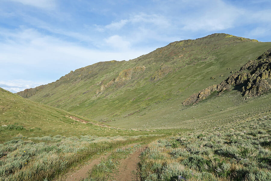 north side of Pueblo Mountain [Arizona Creek Road, Harney County, Oregon]