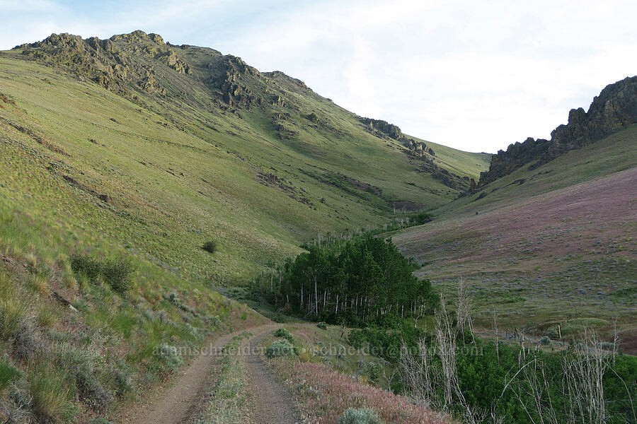 Arizona Creek Valley [Arizona Creek Road, Harney County, Oregon]