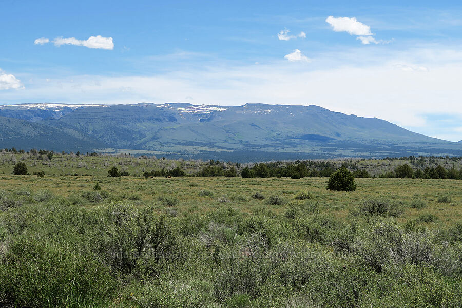Steens Mountain [South Steens Mountain Loop Road, Harney County, Oregon]