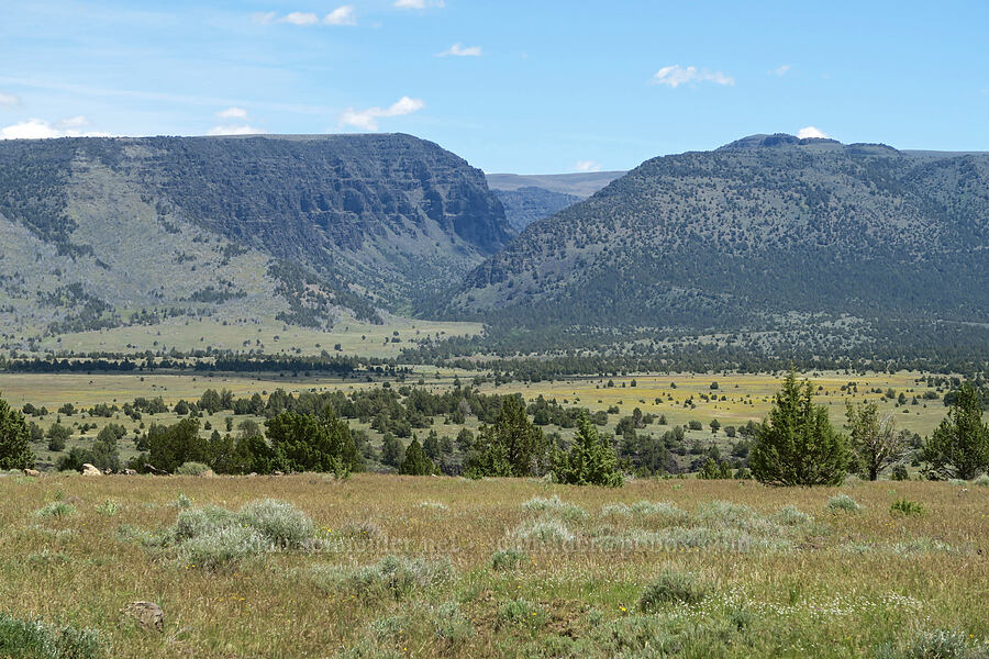 mouth of Little Blitzen Gorge [South Steens Mountain Loop Road, Harney County, Oregon]