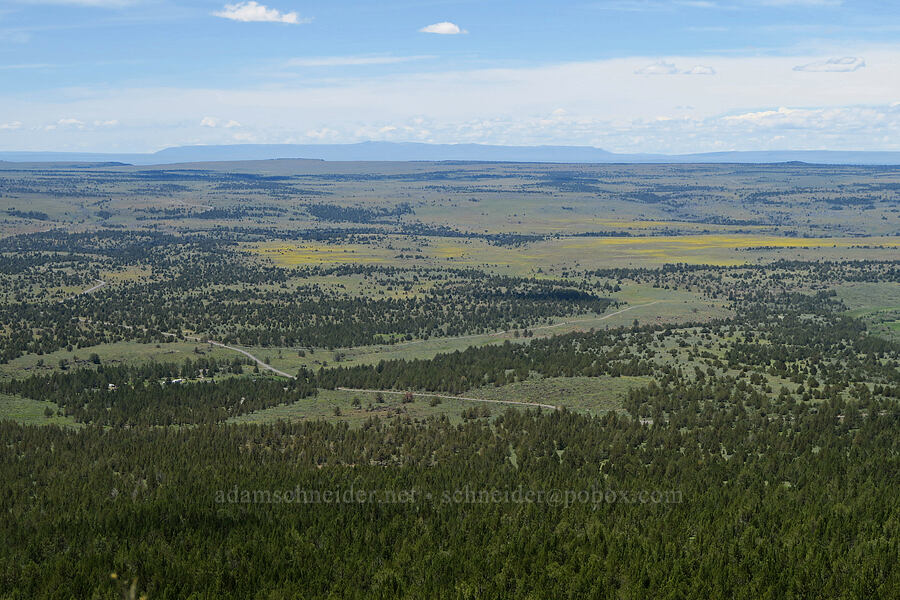 Steens Mountain foothills [South Steens Mountain Loop Road, Harney County, Oregon]