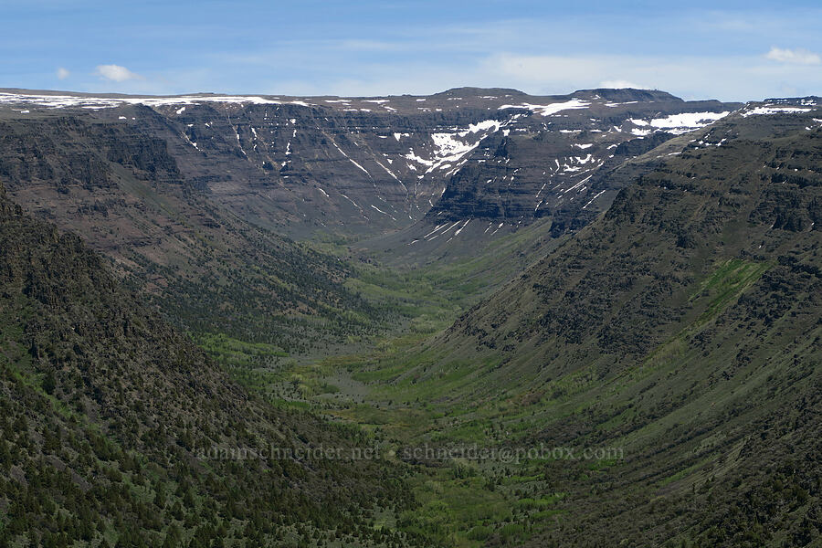 Big Indian Gorge [Big Indian Overlook, Steens Mountain, Harney County, Oregon]