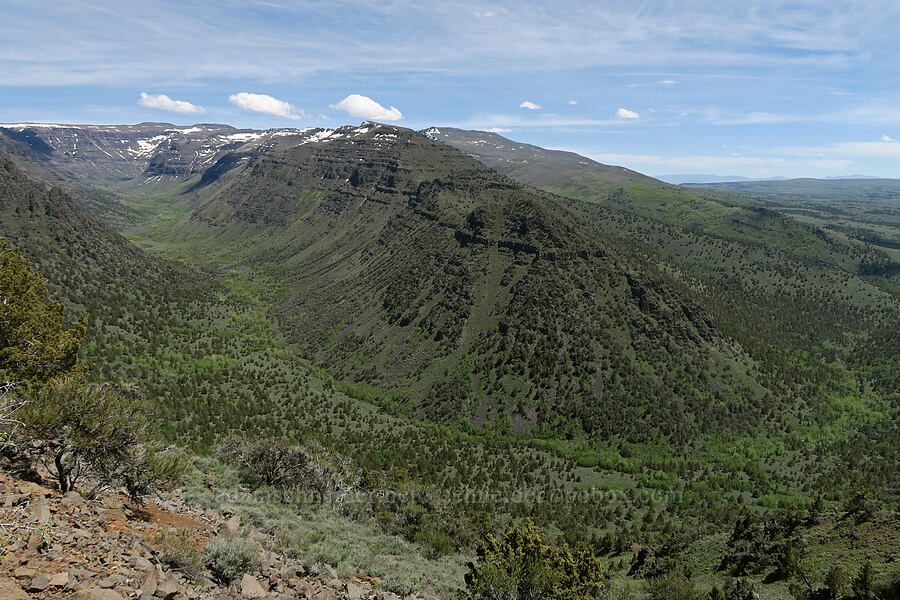 ridge between Big Indian Gorge & Little Indian Gorge [South Steens Mountain Loop Road, Harney County, Oregon]