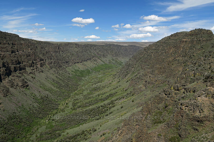 Little Blitzen Gorge [Little Blitzen Overlook, Steens Mountain, Harney County, Oregon]
